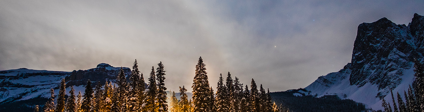 Photo de couverture de Ronnie BELLA