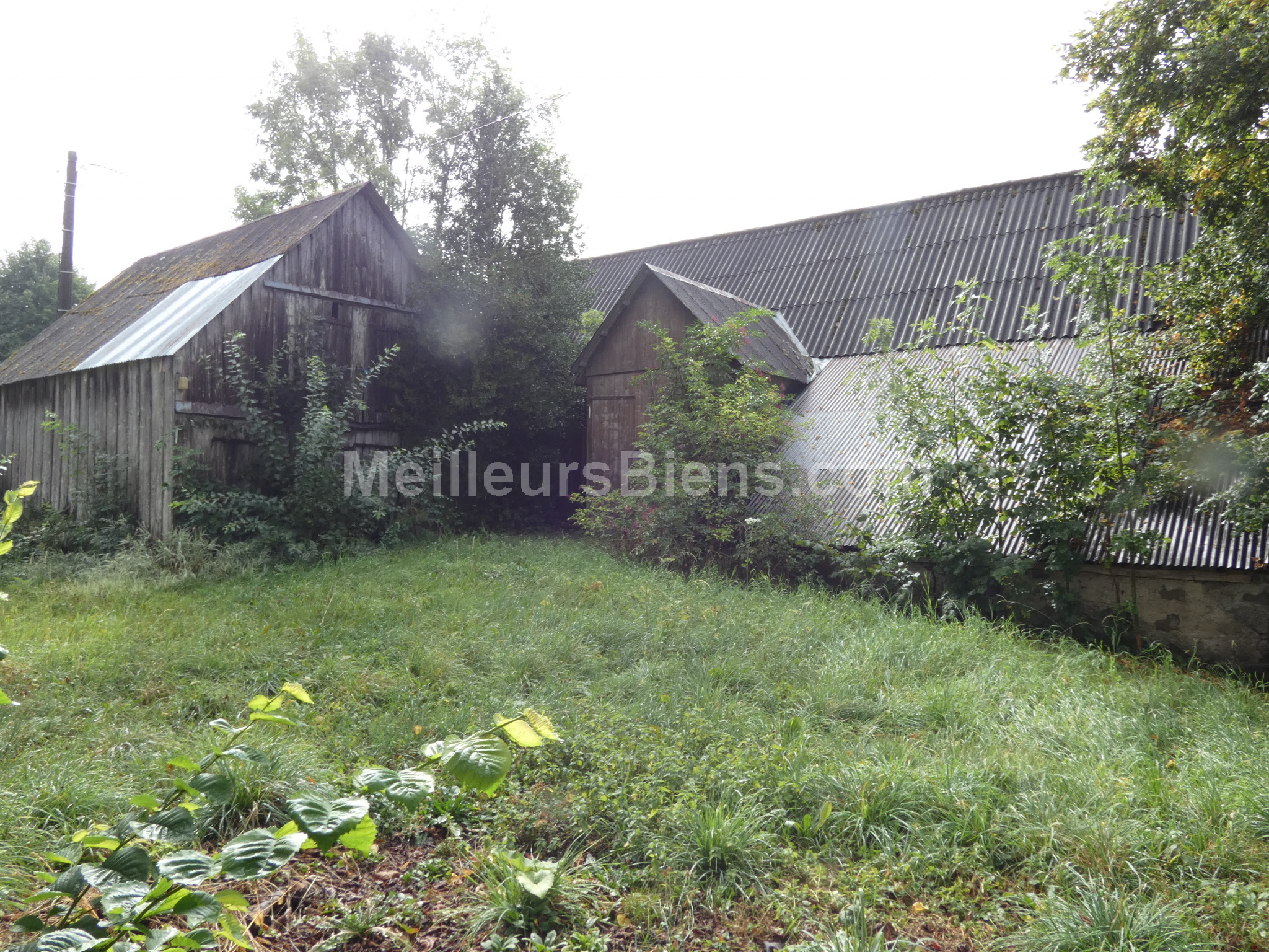 Grange auvergnate avec partie habitation à rénové de 50m2 sur beau terrain de 1500m2 + maisonnette