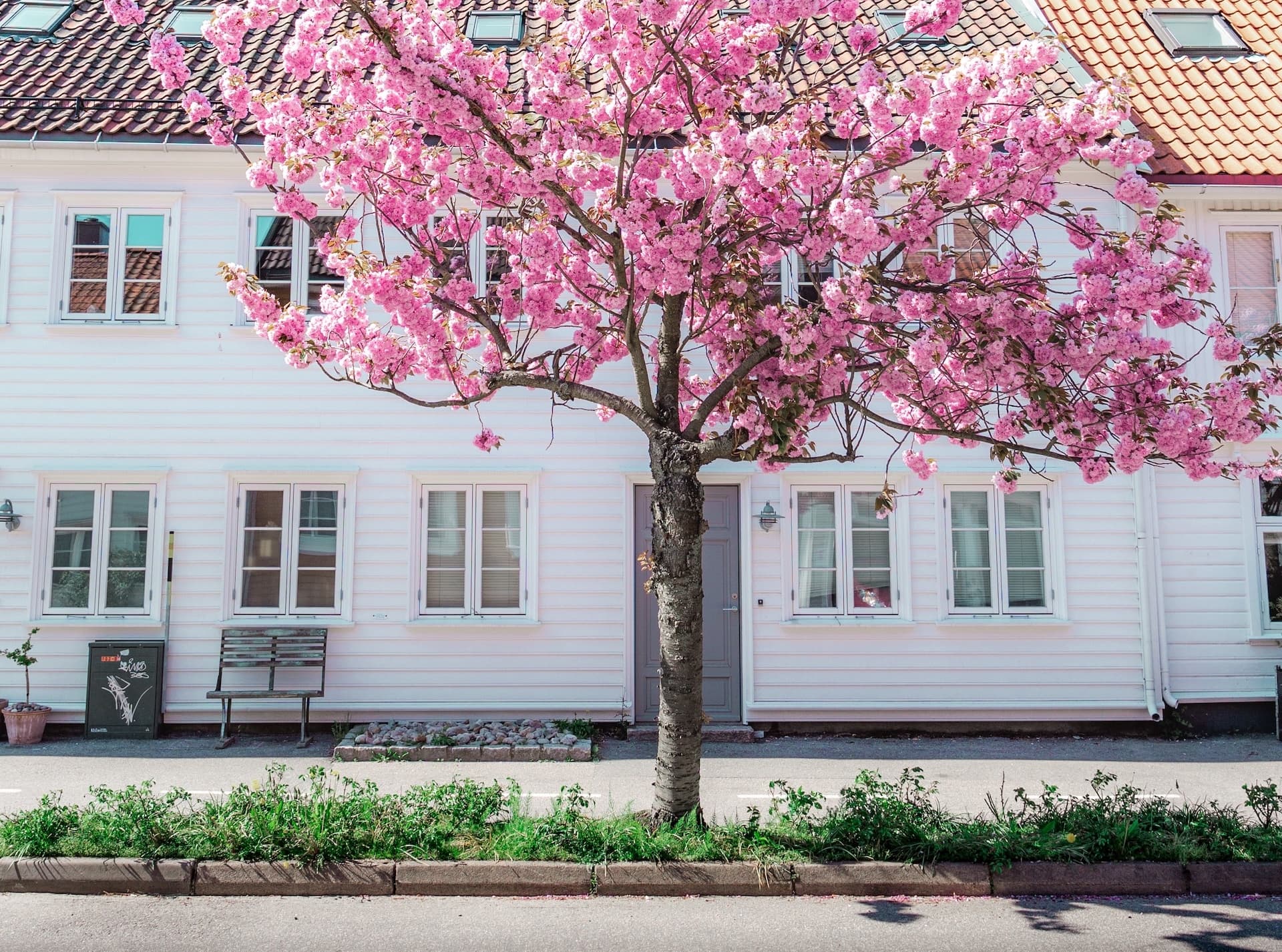 Meilleure période pour vendre un bien immobilier : quand mettre en vente pour maximiser le prix ?