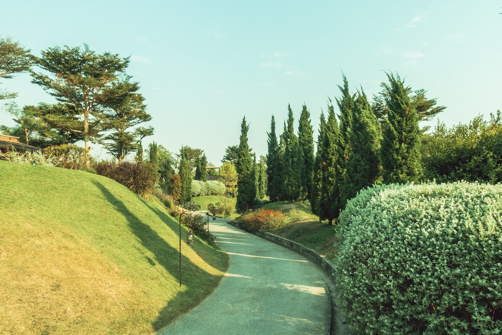 Fond d'écran de la page d'accueil