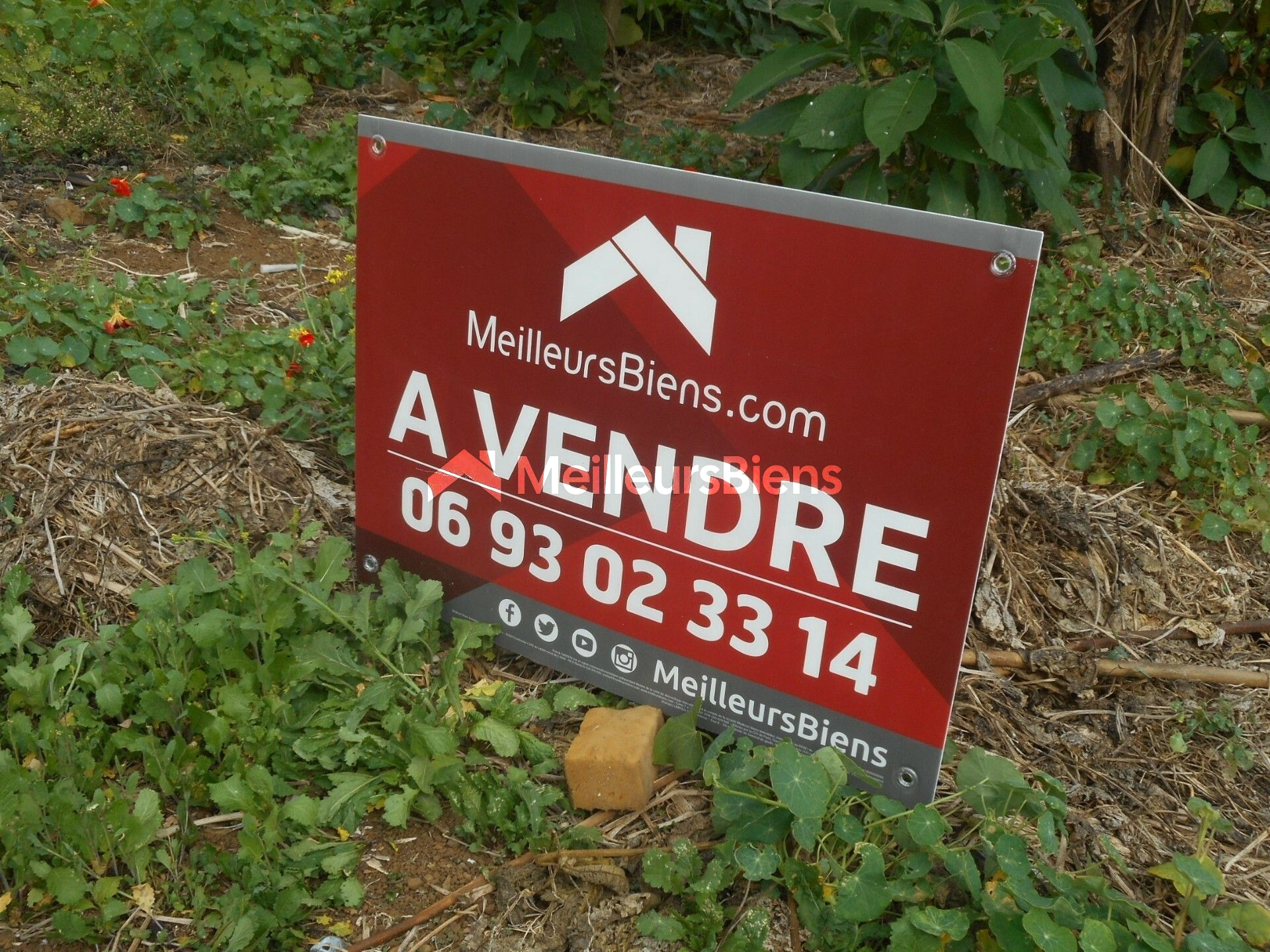Terrain plat constructible de 4145 m²(zone Ub, cos 0,50), idéalement situé au 1er village . Plaine des Palmistes. 125€.m²