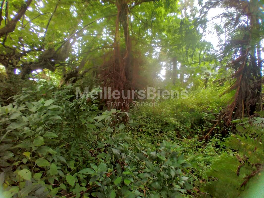 Terrain plat constructible de 4145 m²(zone Ub, cos 0,50), idéalement situé au 1er village . Plaine des Palmistes. 125€.m²