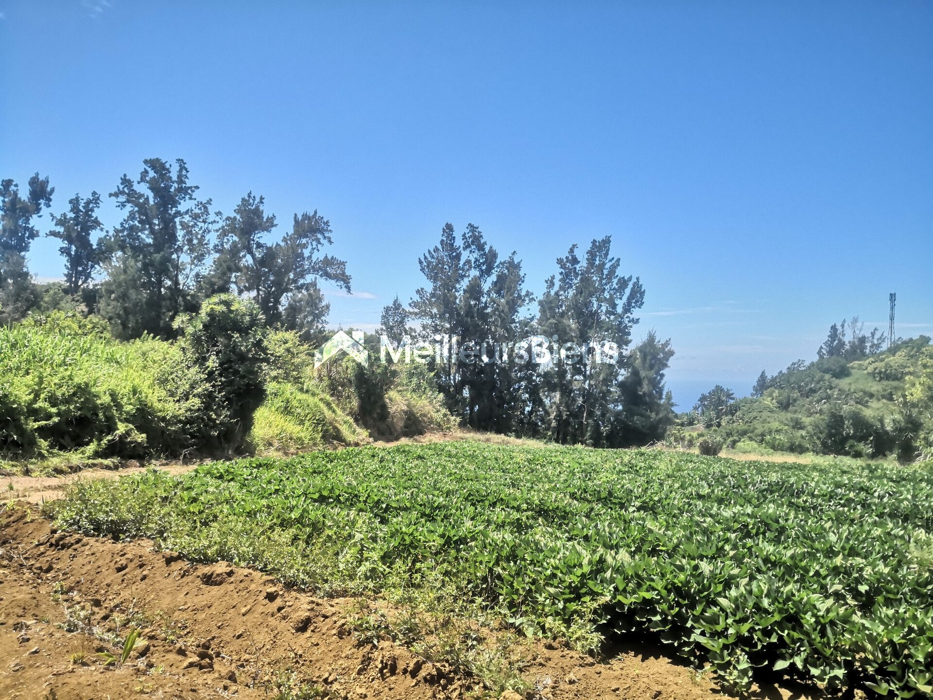 TERRAIN A BATIR PLAT PLAINE DES GREGUES