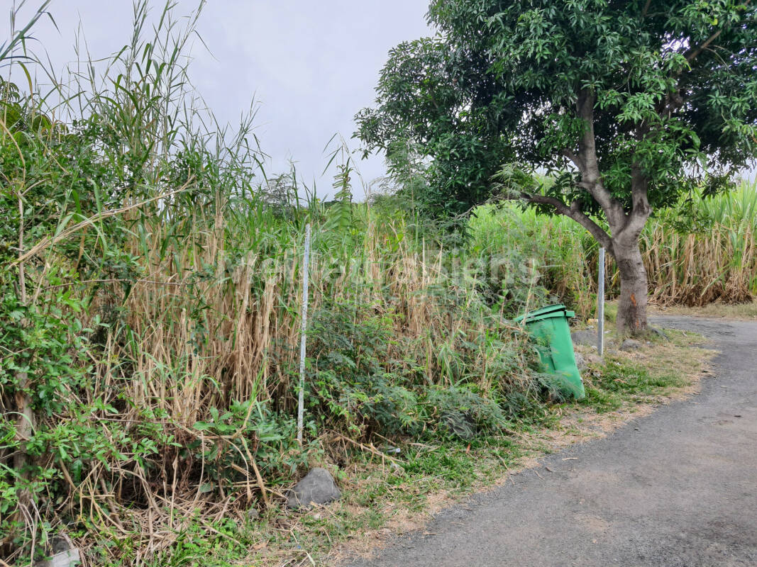 TERRAIN 1000 m², SAINT JOSEPH VINCENDO