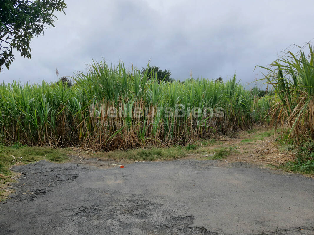 TERRAIN 1000 m², SAINT JOSEPH VINCENDO