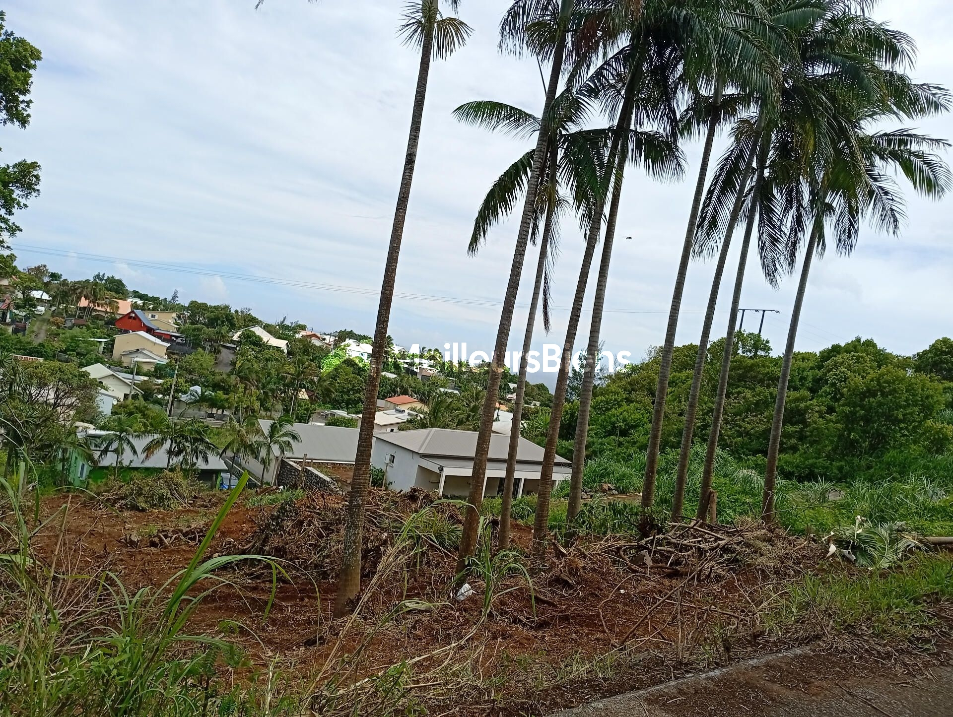 Terrain de 1362m2 dont 439m2 CONSTRUCTIBLE en Zone U5/126 500€