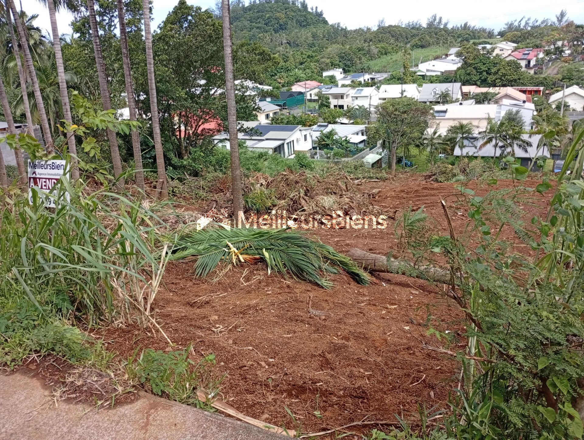 Terrain de 1362m2 dont 439m2 CONSTRUCTIBLE en Zone U5/126 500€