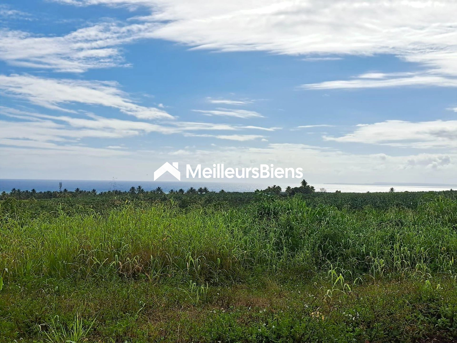 BEAU TERRAIN LOTISSEMENT AVEC VUE MER