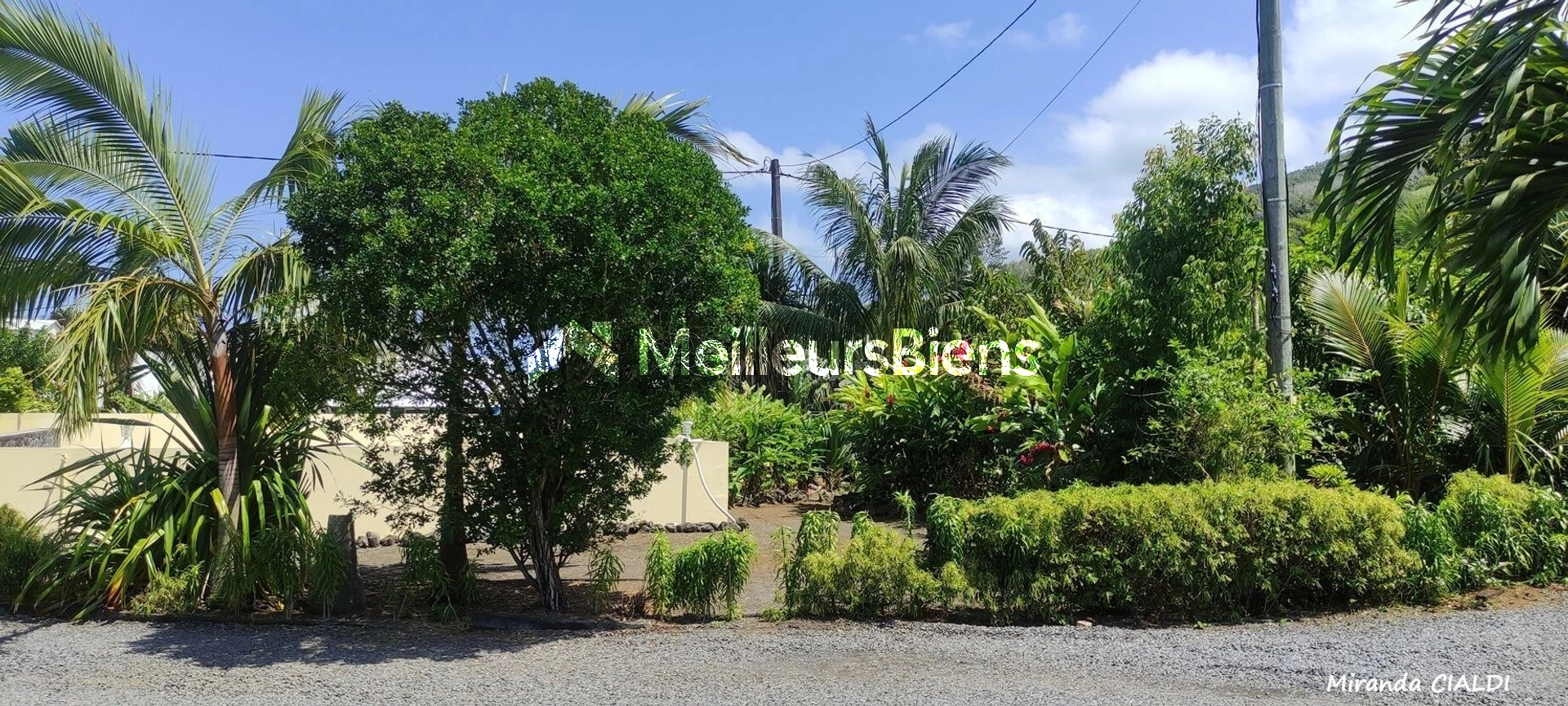 A ST JOSEPH, VINCENDO, UNE BELLE PARCELLE DE 494M2, PLAT, ZONE U5, VUE MONTAGNE