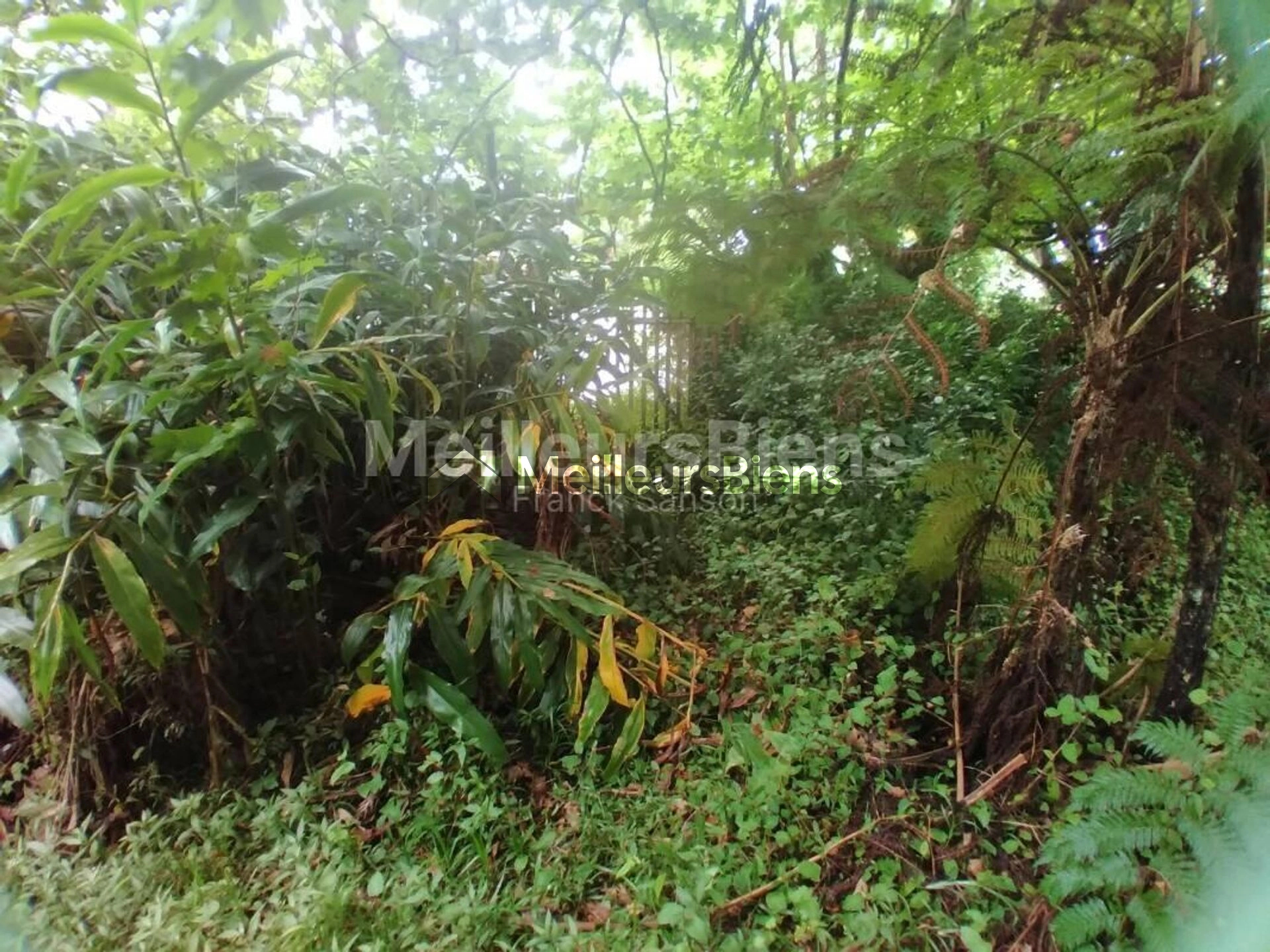 Beau terrain constructible de 2100 m², zone Ub (R+1+C, cos 0,50 )