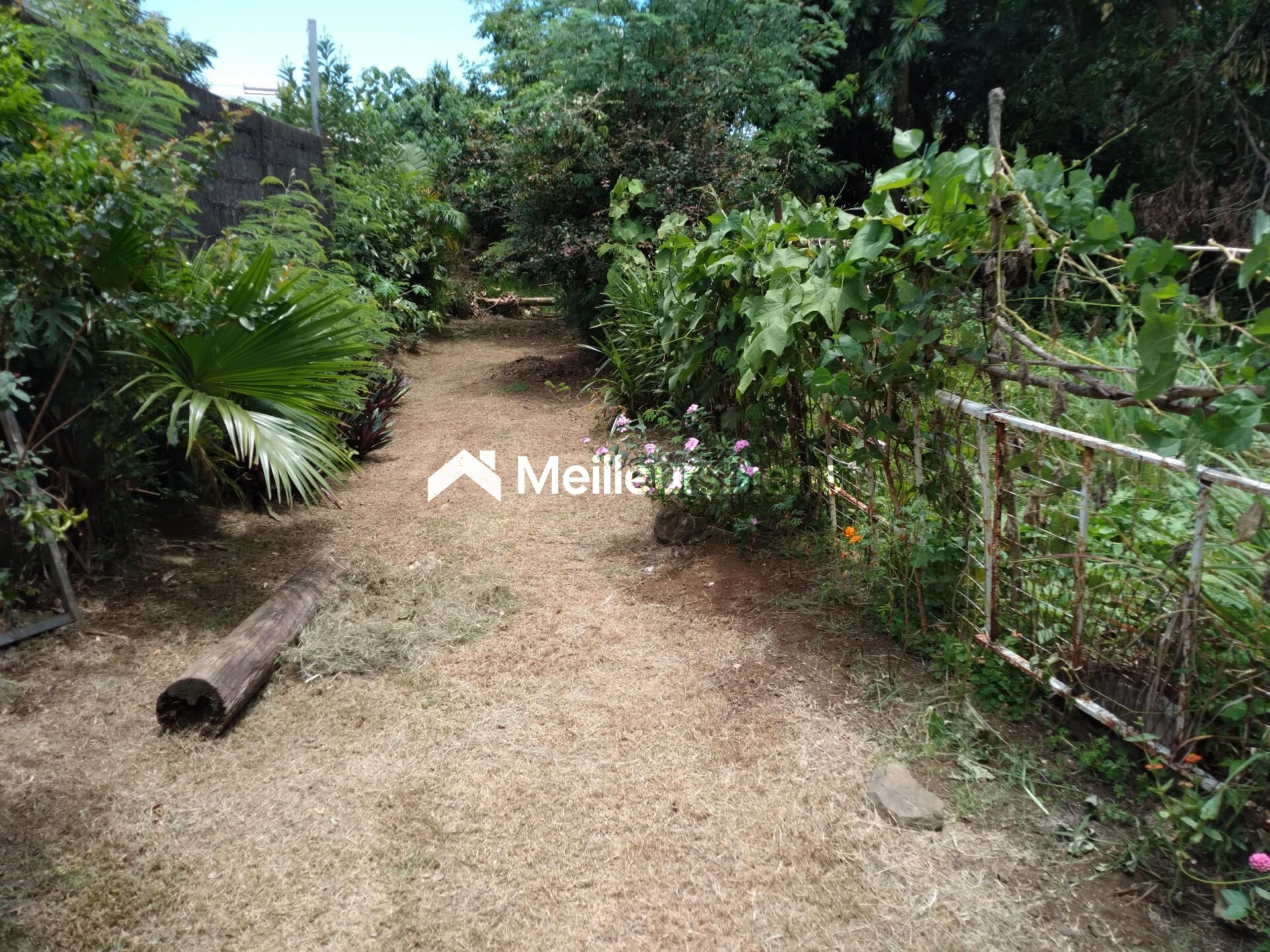 Terrain plat constructible (zone Uc) de 5300 m² à Ste Marie (Bois rouge)