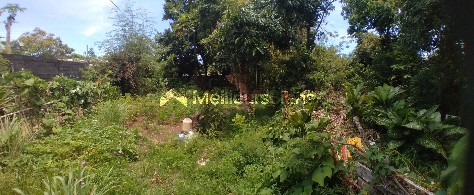 Terrain plat constructible (zone Uc) de 5300 m² à Ste Marie (Bois rouge)