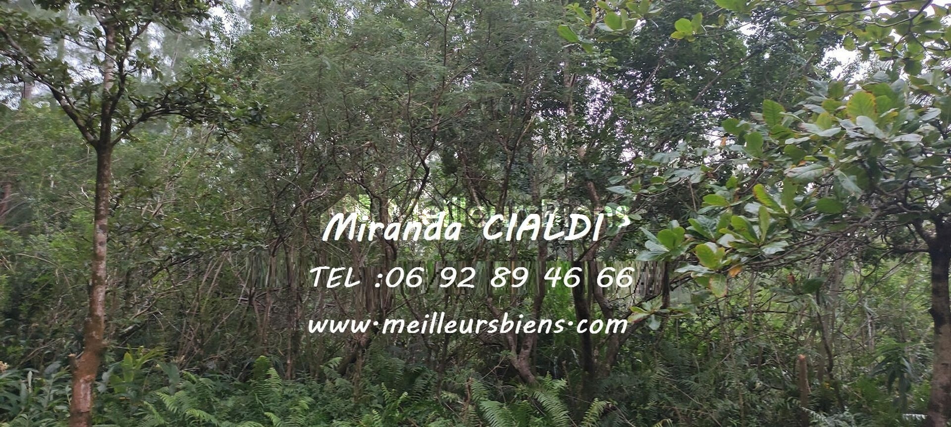 Terrain à Bâtir 1400M2 / 109 990€/ LE TREMBLET / SAINT PHILIPPE