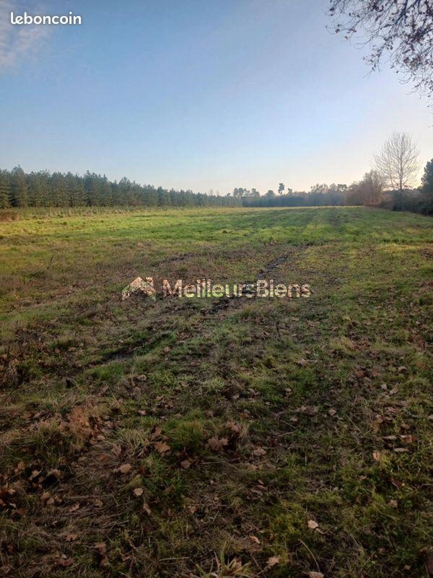 Terrain de loisir de 12 000 m²