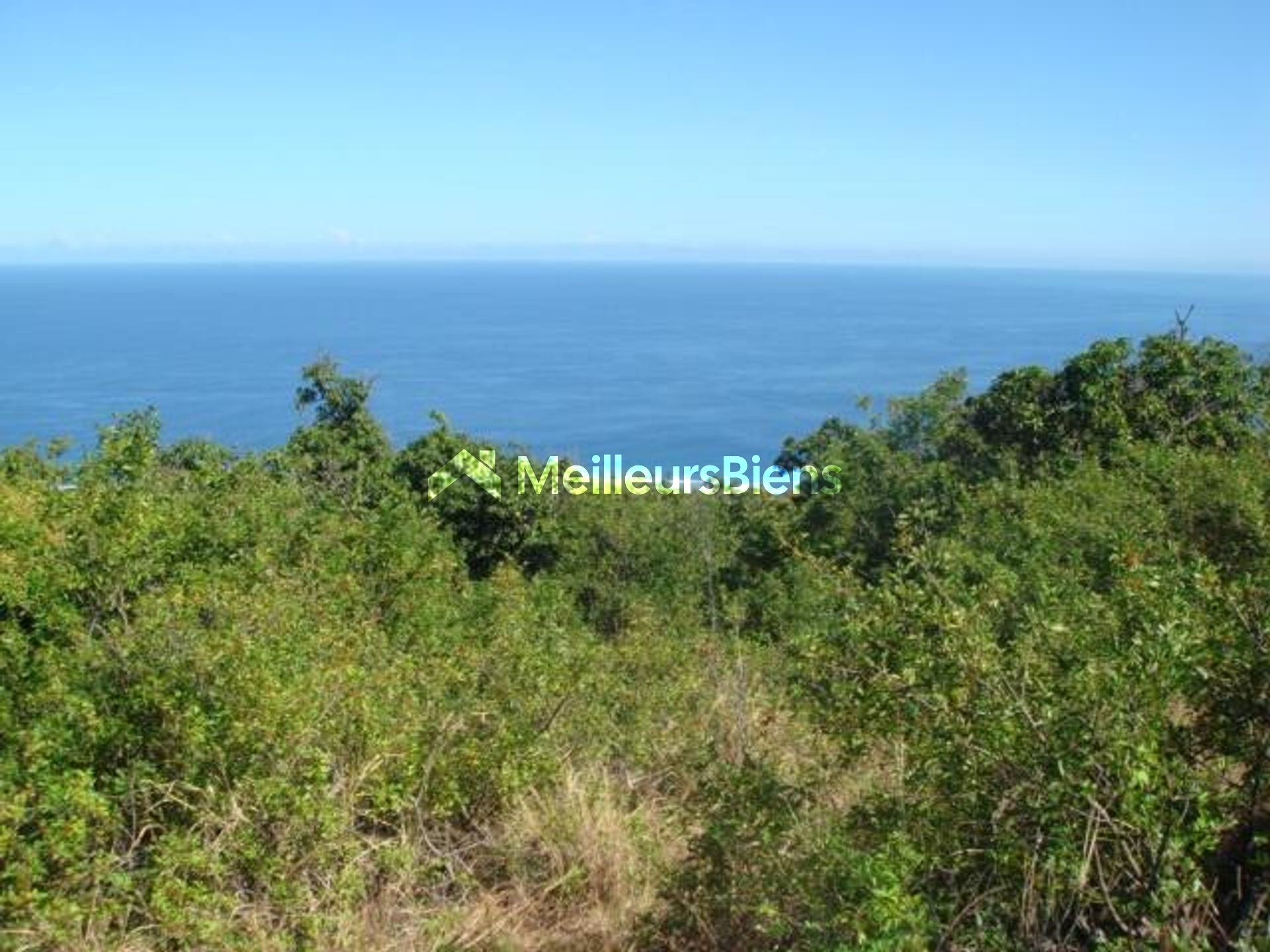 Magnifique terrain à bâtir de 3650 m² en zone Ud situé à ETANG ST LEU (97424)