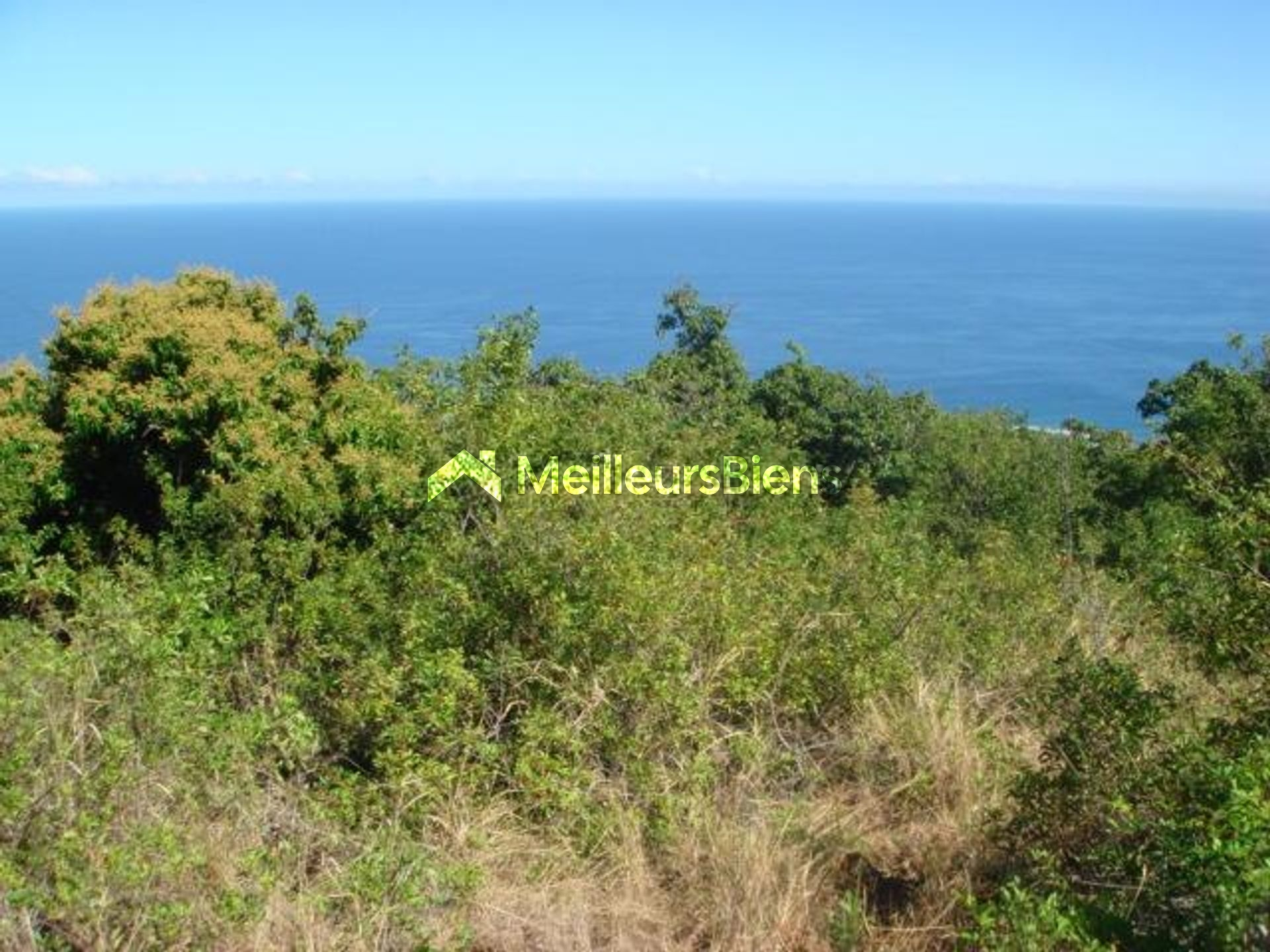 Magnifique terrain à bâtir de 3650 m² en zone Ud situé à ETANG ST LEU (97424)