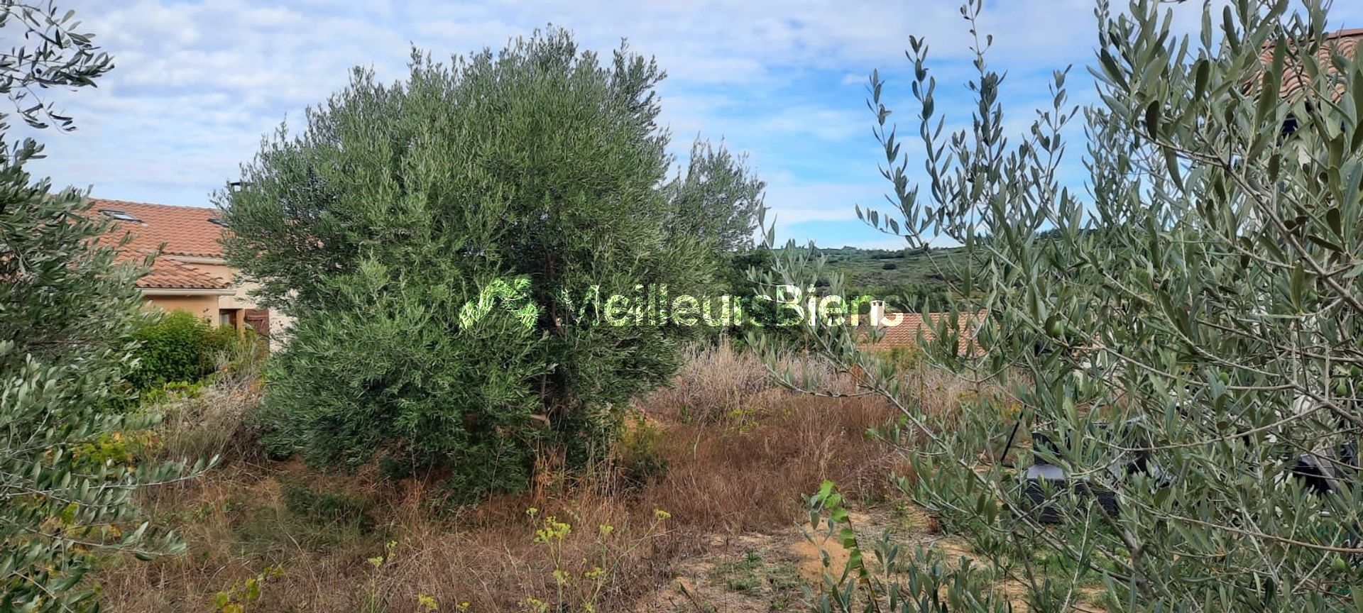 Terrain constructible 268 m² à Villeveyrac, libre de constructeur
