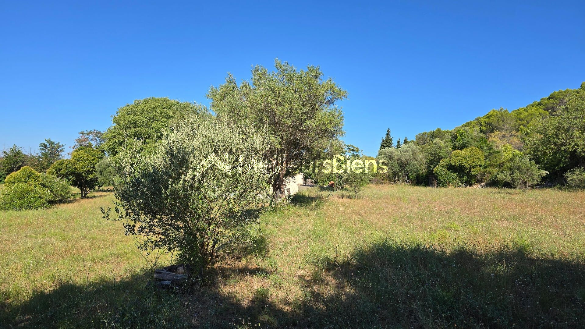 LORGUES — Domaine de 16 000 m² avec deux habitations, piscine et fort potentiel patrimonial