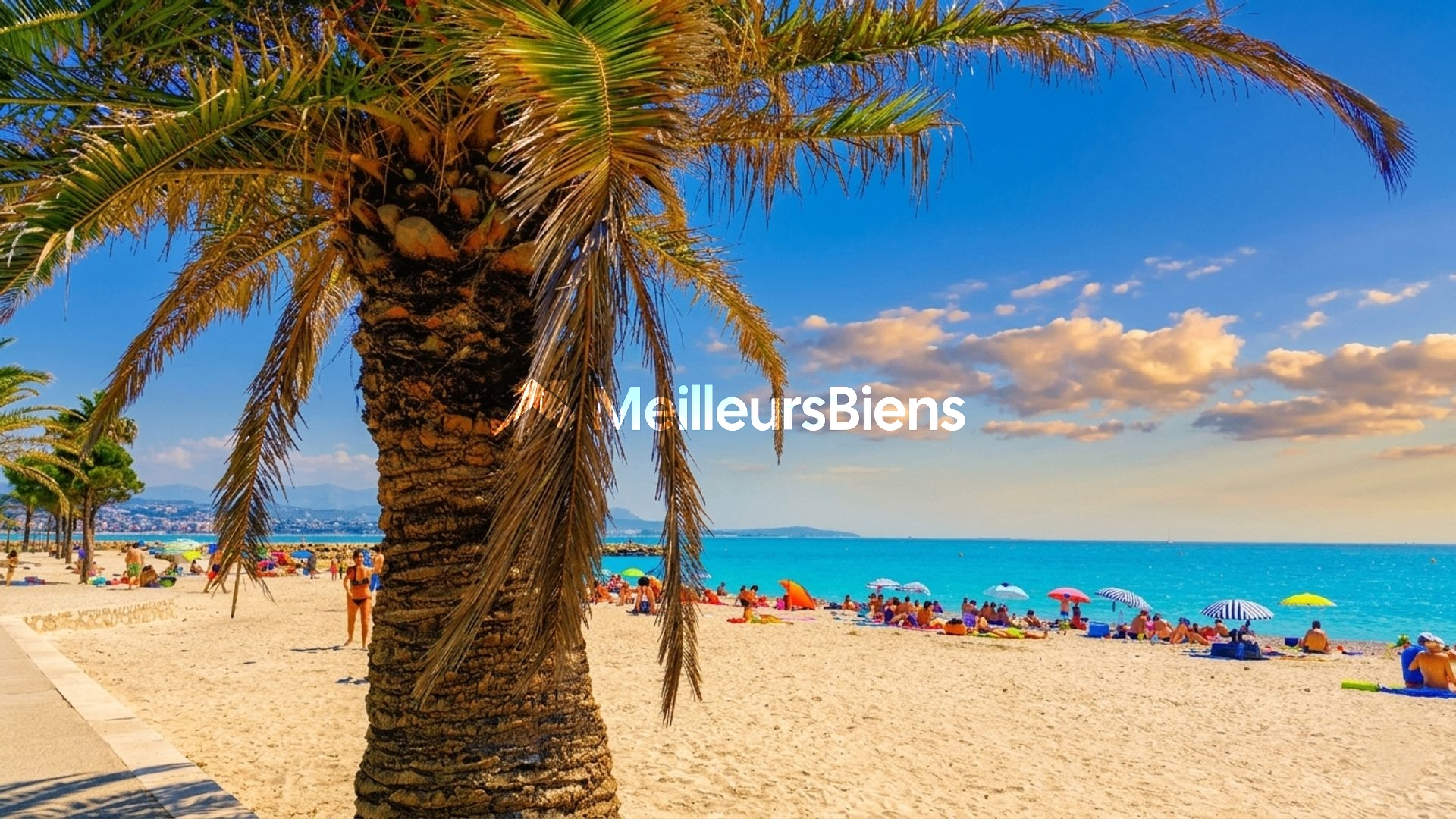T2 Marina baie des anges