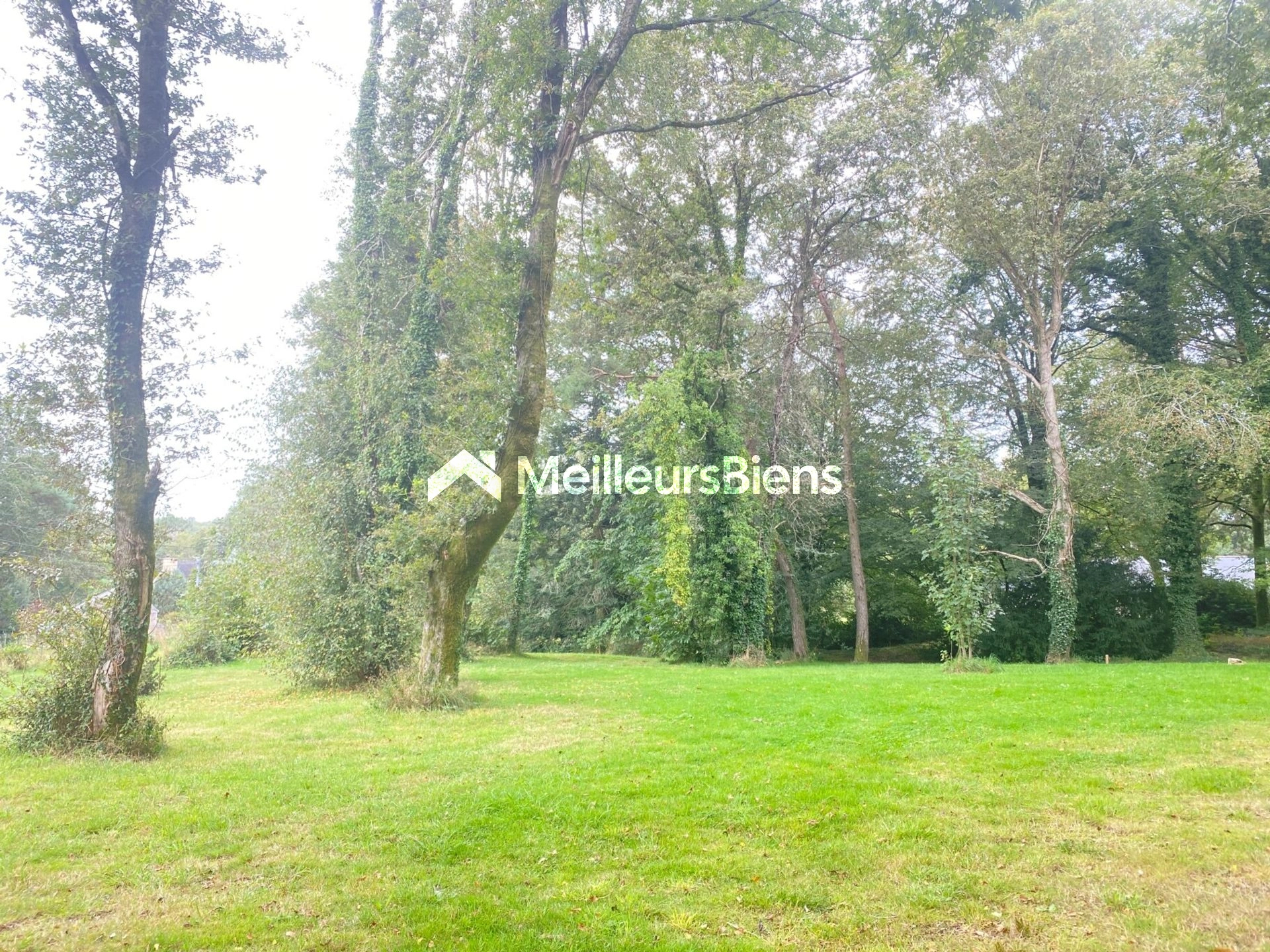 Beau terrain constructible